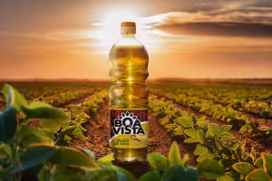 Boavista: Honoring Angolan Heritage Through Modern Brand Design