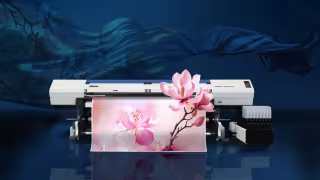 1000001112.webp
