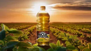 Boavista, The Taste of Tradition, Reinvented for the Future.png