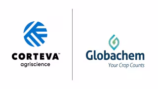 Corteva, Globachem Form 50/50 JV for Crop Protection Solutions