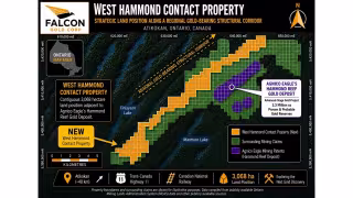 Falcon Gold Starts Field Exploration at West Hammond Near Hammond Reef