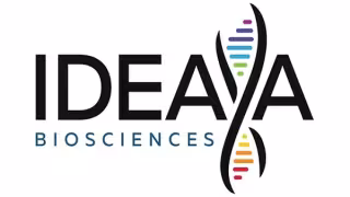 IDEAYA Biosciences Promotes Michael White to President, R&D