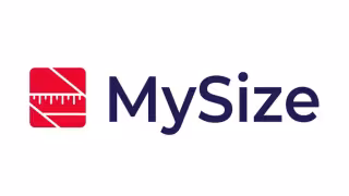 MySize Raises $2.5M via Private Placement at $1.91/Share