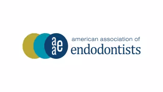 AAE Featured in Book on How 24 Associations Navigated COVID-19
