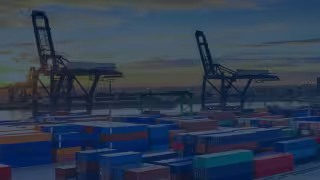 UK Forwarder Recovers 800 Monthly Hours With PayCargo POD Automation