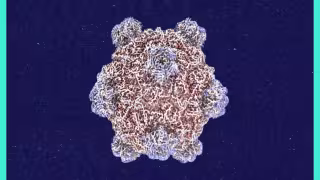 Stanford's Samuel King on AI-Designed Viruses: MIT Tech Review Roundtable