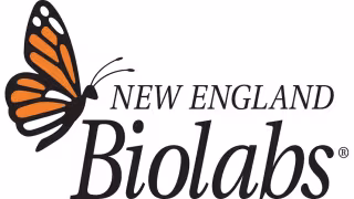 NEB Wins Co-Exclusive Rights to Sell seqWell's TnX Transposase