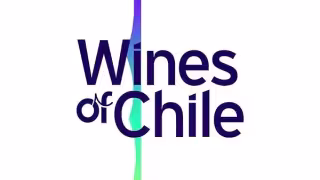 Chile Wine Fest Debuts in Miami With 20 Wineries, Pisco Lab