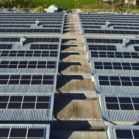Sidel's Parma Plant Embraces Renewable Energy with Major Solar Installation