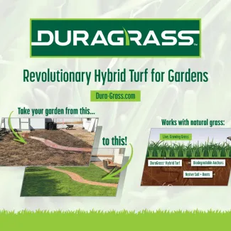 GrassWorx Unveils DuraGrass® Hybrid Turf at spoga+gafa 2025, Transforming Lawn Repair Efficiency