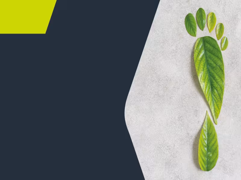 KaVo Commits to a Greener Future with Ambitious Sustainability Plan