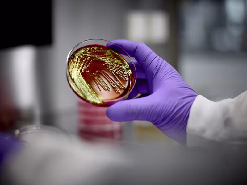 Roche Receives FDA Breakthrough Device Designation for AI-Driven Lung Cancer Diagnostic