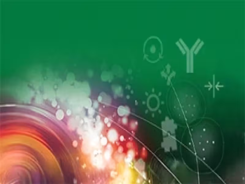 Bio-Rad to Report First Quarter 2025 Financial Results.