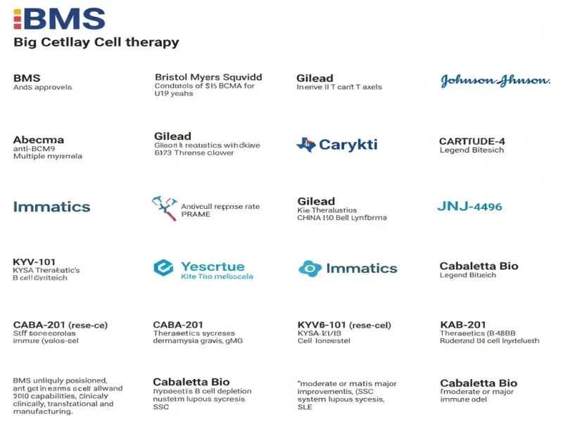 Six Cell Therapy Holdouts Double Down on CAR T and Autoimmune Plays as Big Pharma Retreats
