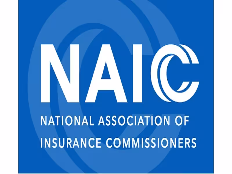 NAIC Details Capital Rule Overhaul After Warren Inquiry on Insurer Risk
