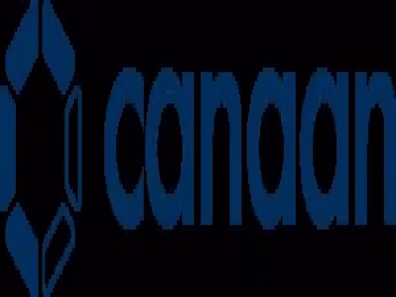 Canaan Sells ETH Holdings, Buys Back 13.6M ADSs in August