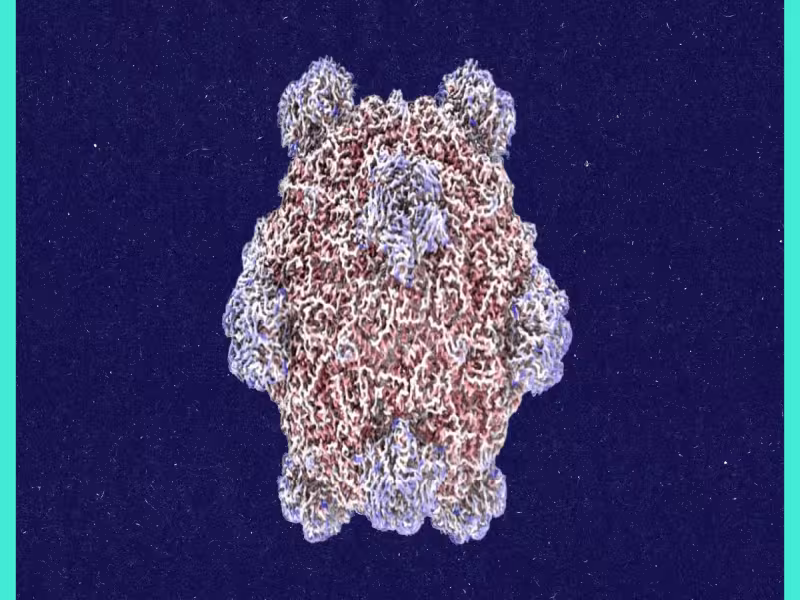 Stanford's Samuel King on AI-Designed Viruses: MIT Tech Review Roundtable