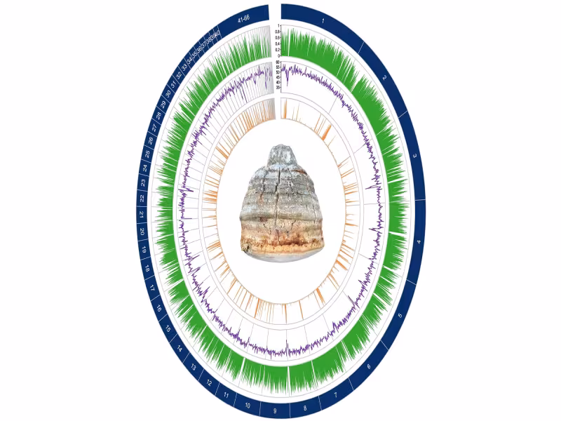 Fungi Perfecti Publishes First Complete Agarikon Fungus Genome