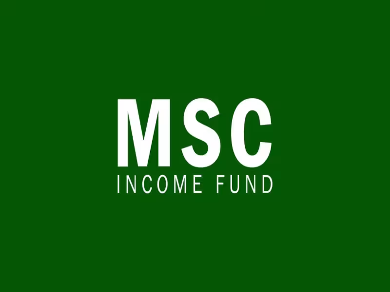 MSC Income Fund Names Nicholas Meserve CEO, Effective Q4 2026